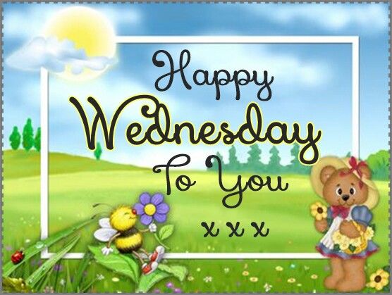 Happy Wednesday To You Teddy Bear And Bee Picture