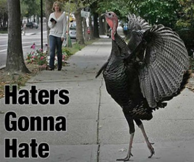 Haters Gonna Hate Funny Thanksgiving Meme