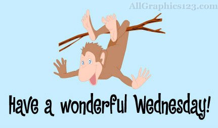 Have A Wonderful Wednesday Hanging Monkey Picture
