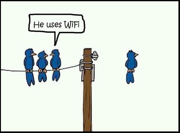 He Uses Wifi Funny Technology Birds Cartoon