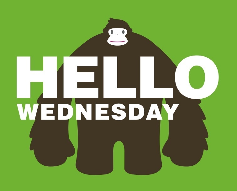 Hello Wednesday Chimpanzee Picture