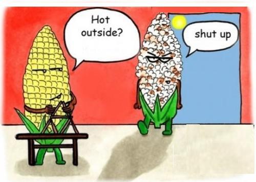 Hot Outside Funny Cartoon