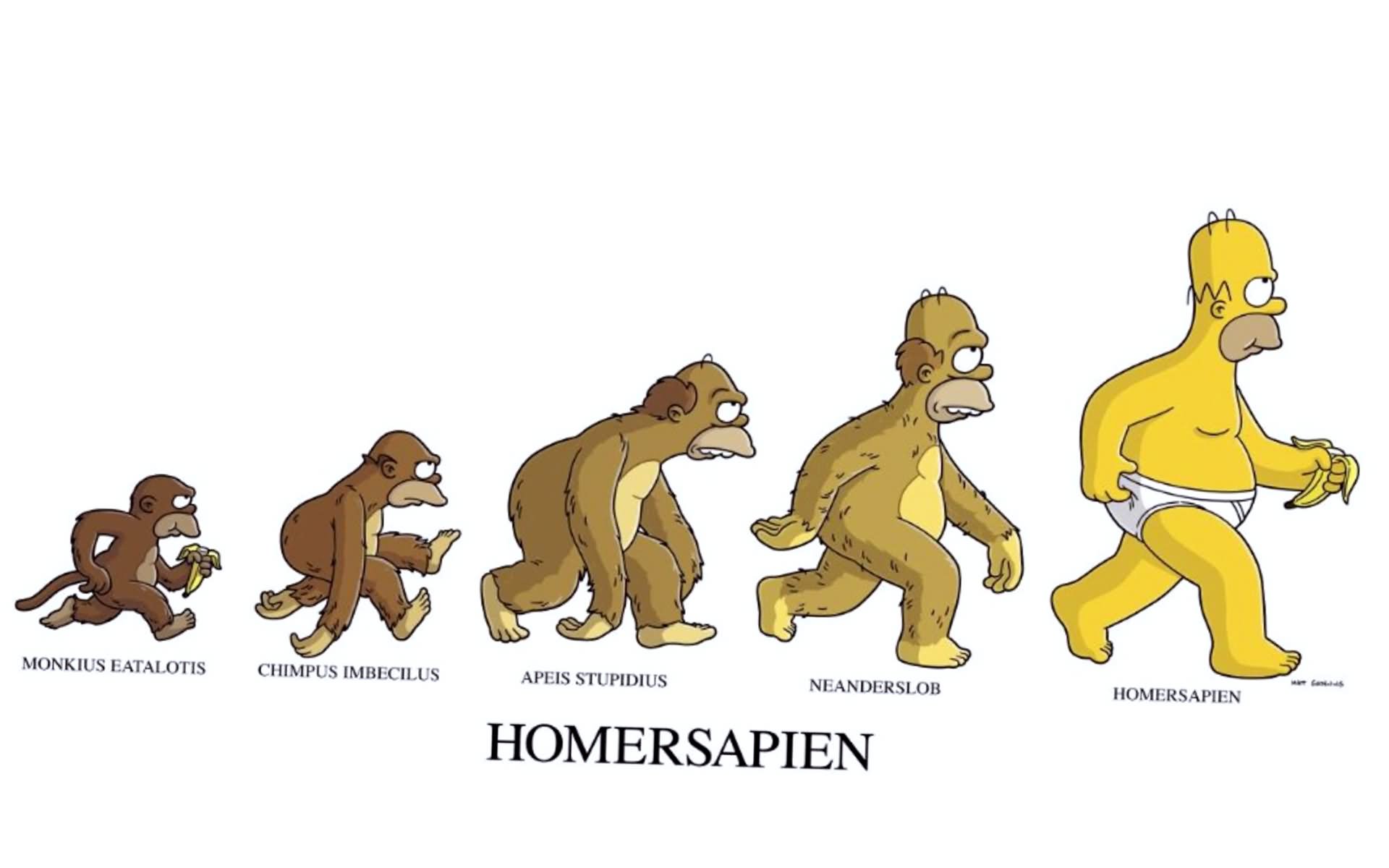 Human Evolution Funny Funny Cartoon