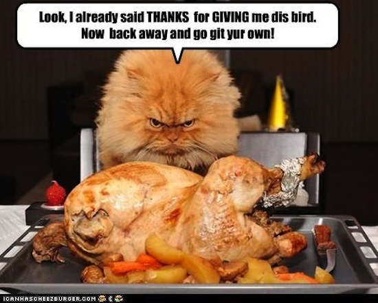 I Already Said Thanks For Giving Me Dis Bird Now I Back Away Go Git Your Own Funny Thanksgiving Meme
