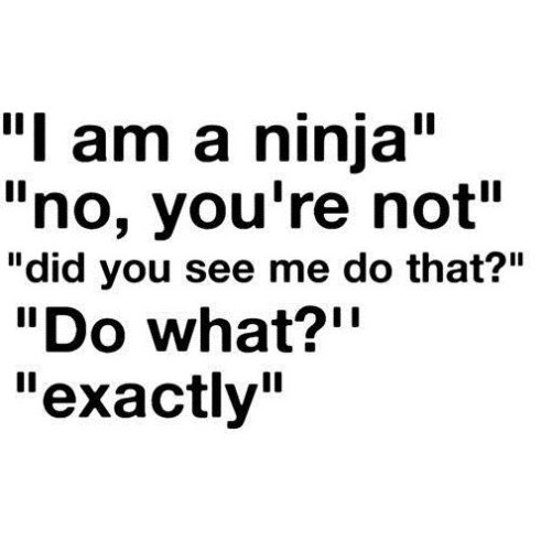 I Am Ninja No You Are Not Funny Quote