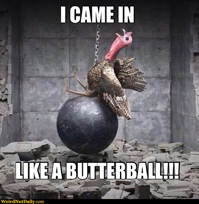 I Came In Like A Butterball Funny Thanksgiving Meme