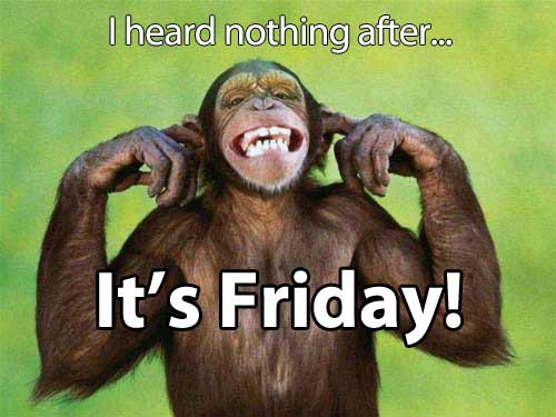 I Heard Nothing After It's Friday Monkey Monkey Picture