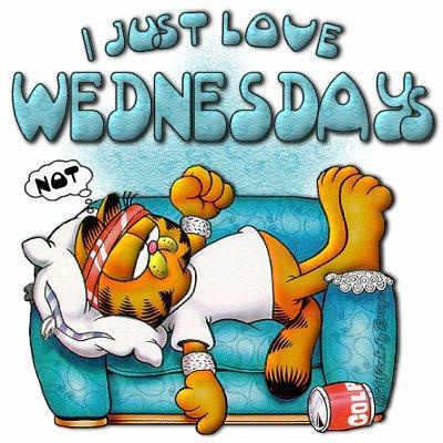 I Just Love Wednesday Lazy Garfield Picture