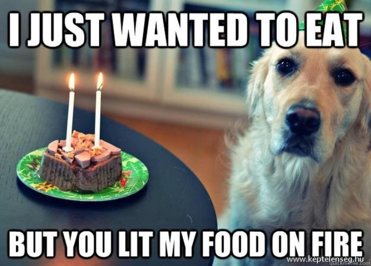 I Just Wanted To Eat But You Lit My Food On Fire Funny Birthday Meme