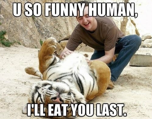 I Will Eat You Last Funny Human