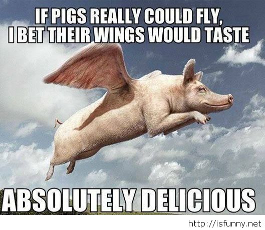 If Pigs Really Could Fly I Bet Their Wings Would Taste Funny Plane Meme