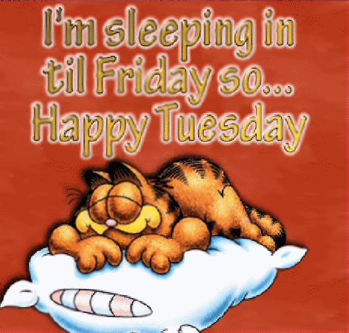 I'm Sleeping In Til Friday So Happy Tuesday Garfield Picture