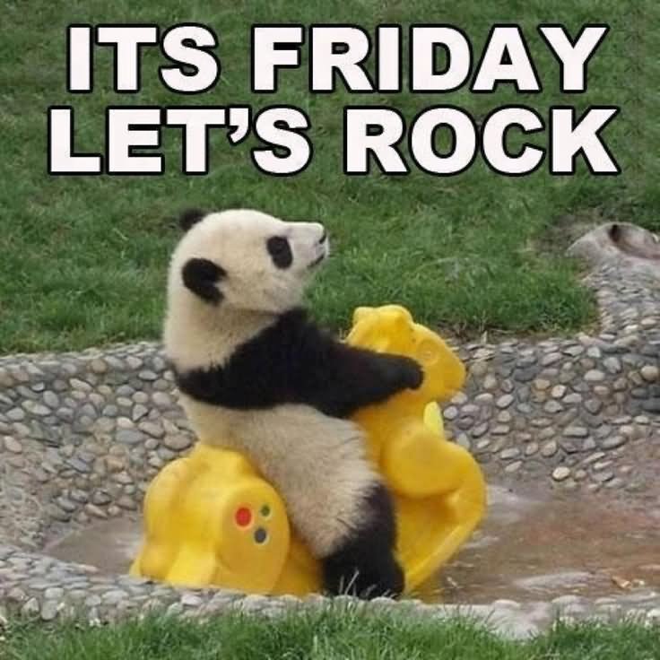Its Friday Let's Rock Panda Picture