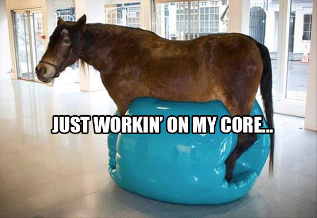 Just Workin On My Core Funny Horse Animal Exercise