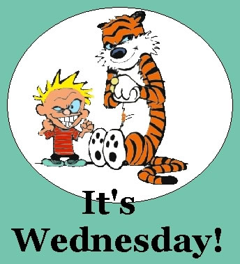 Kid And Tiger Says It’s Wednesday