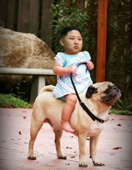 Kim Jong Riding Dog Funny Photoshopped Picture
