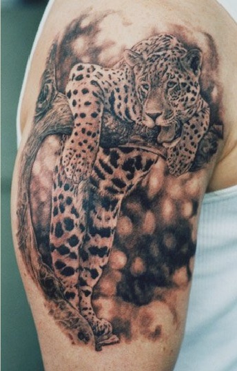 Leopard Wildlife Tattoo On Right Shoulder