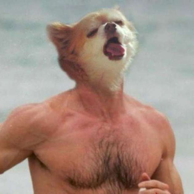 Man With Dog Face Funny Photoshopped