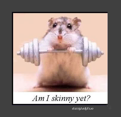 Mouse Funny Exercise Picture