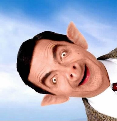 Mr Bean Funny Human