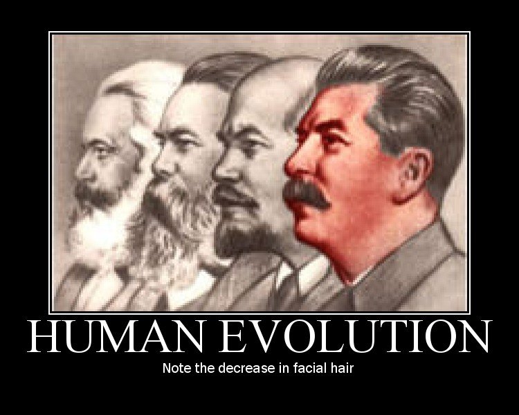 Note The Decrease In Facial Hair Funny  Human Evolution