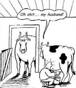Oh Shit My Husband Funny Cow Cartoon