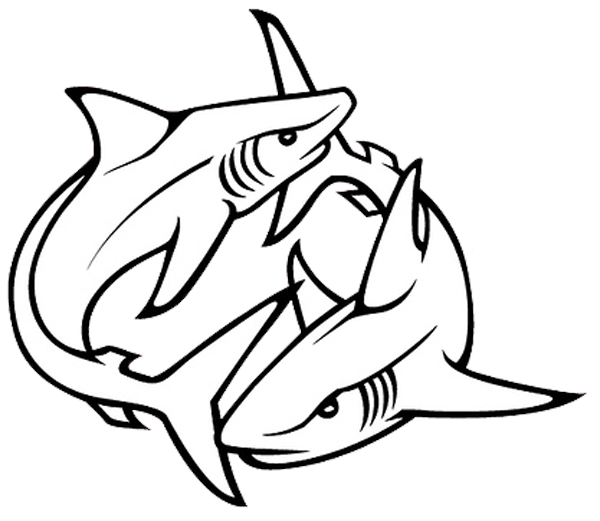 15 Latest Shark Tattoo Designs And Ideas