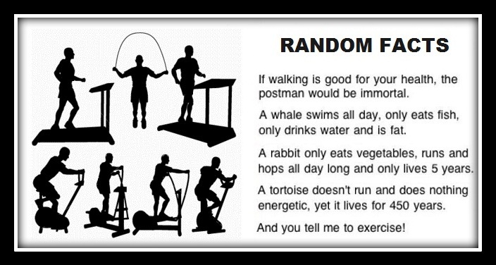 Random Facts Funny Exercise Image