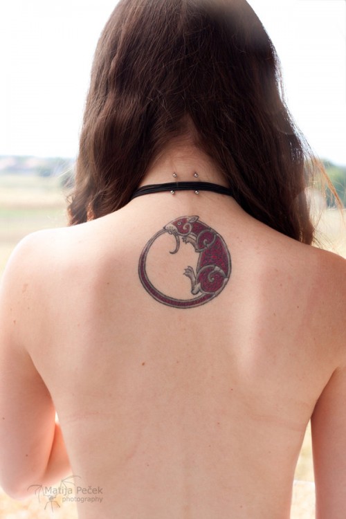 Red Rat Tattoo On Girl Back By Dylan Briggs