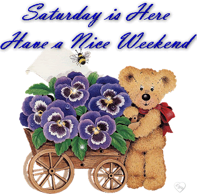 Saturday Is Here Have A Nice Weekend Teddy Bear With Flowers Glitter