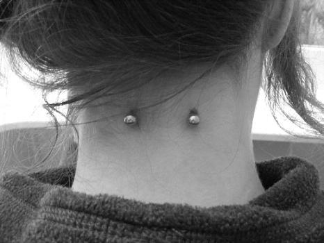 Silver Studs Surface Piercing Image