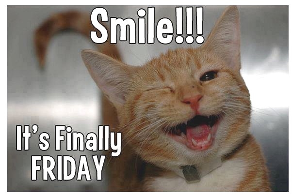 Smile It's Finally Friday Funny Winking Cat Picture