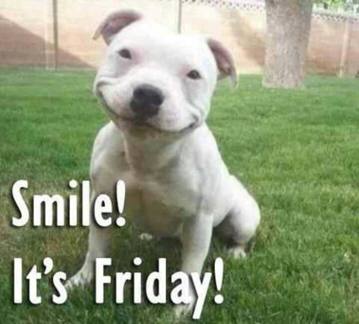 Smile It's Friday Dog Picture