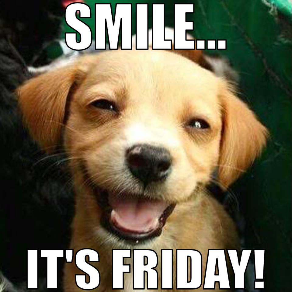 Smile Its Friday Funny Smiling Puppy Picture