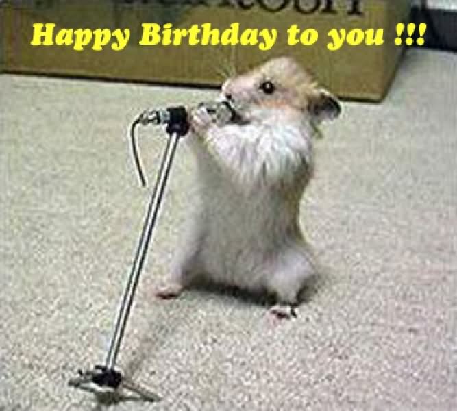 Squirrel Singing Birthday Song Funny Picture
