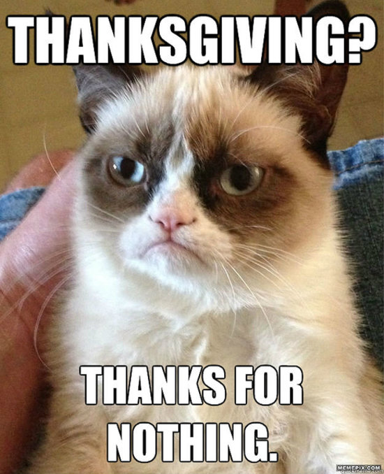 Thanks For Nothing Funny Thanksgiving Cat Meme
