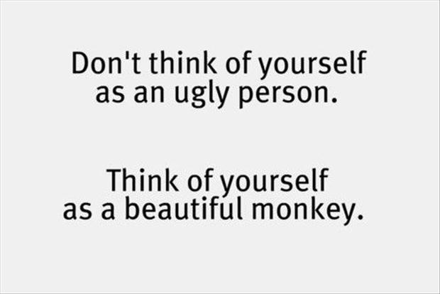 Think Of Your Self As A Beautiful Monkey Funny Quote