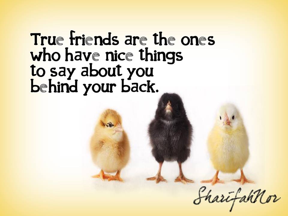 Poruka prijatelju - prijateljici - Page 6 True-friends-are-the-ones-who-have-nice-things-to-say-about-you-behind-your-back-11