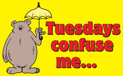 Tuesdays Confuse Me Bear Picture