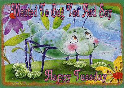 Wanted To Bug You And Say Happy Tuesday Insect Glitter