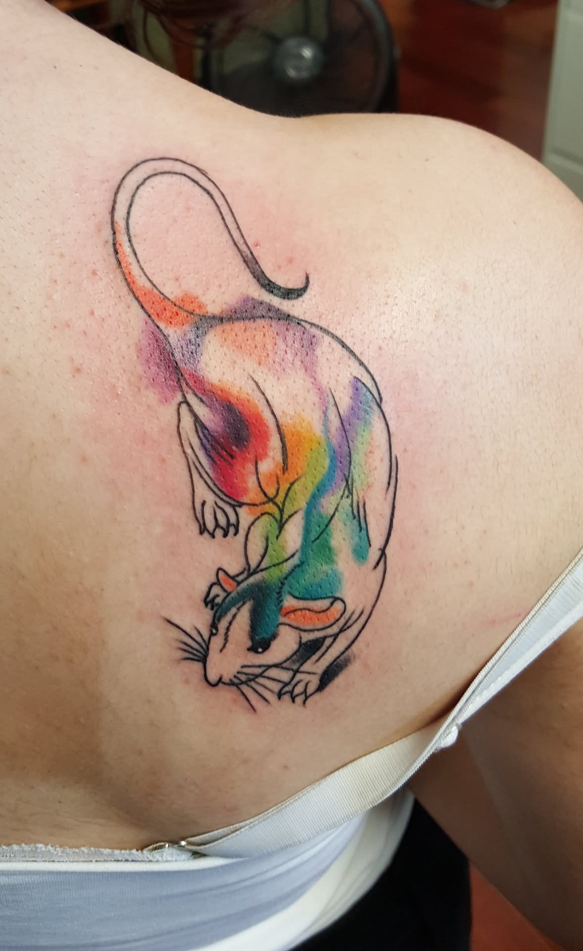 Watercolor Rat Tattoo On Girl Back Shoulder