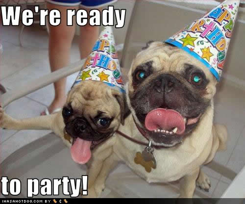 We Are Ready To Party Funny Dog Couple Meme