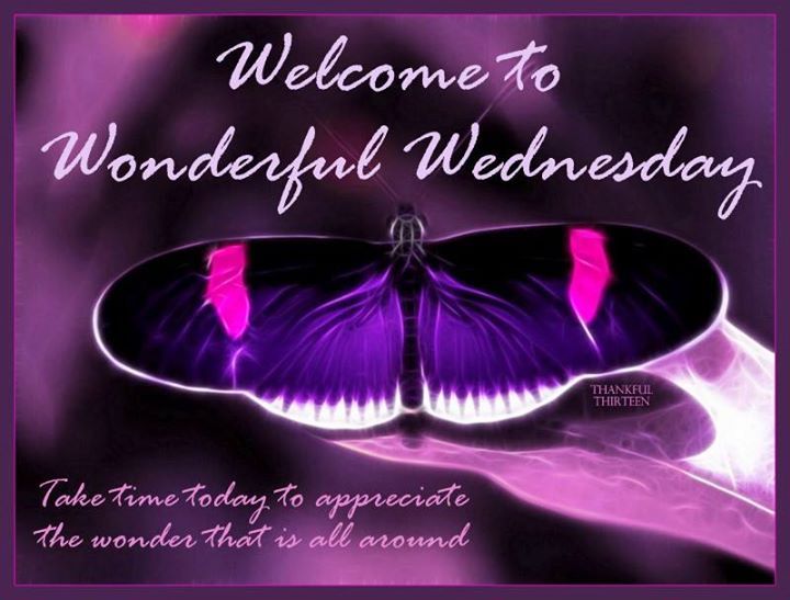 Welcome To Wonderful Wednesday Butterfly Picture