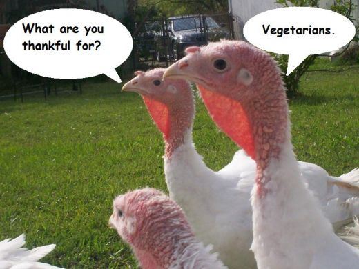What Are You Thankful For Funny Thanksgiving