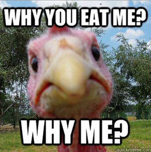 Why You Eat Me Funny Thanksgiving Meme