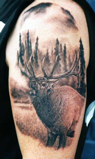 Wildlife Tattoo On Left Half Sleeve