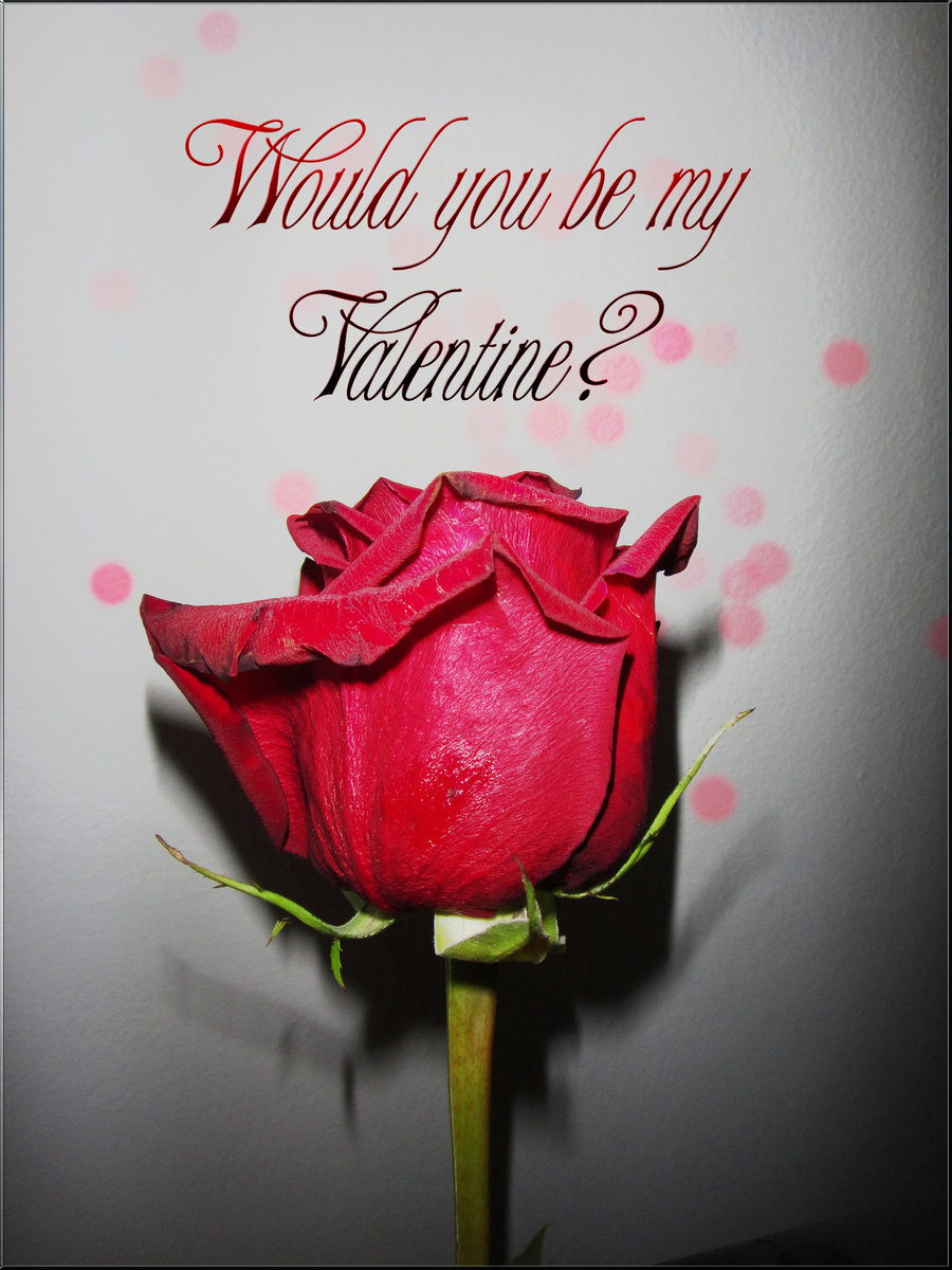 Would You Be My Valentine Rose Bud Picture