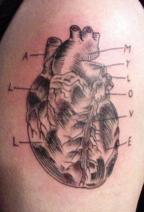 Anatomical Human Heart Tattoo on Upper Arm