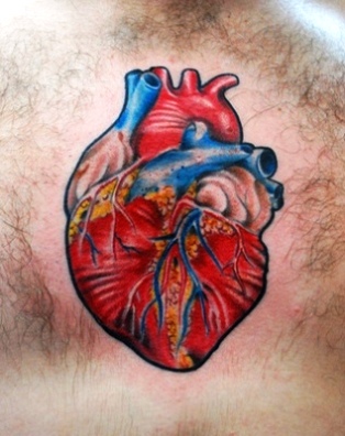 Anatomical Red & Blue Human Heart tattoo on chest