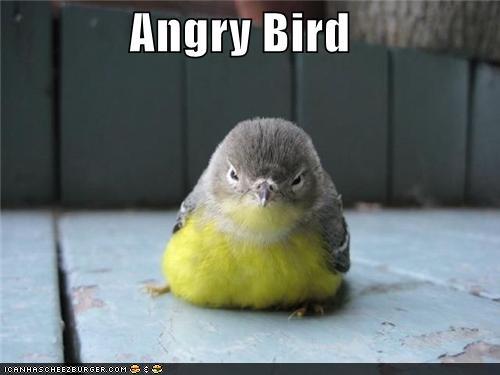 Angry Bird Funny Picture